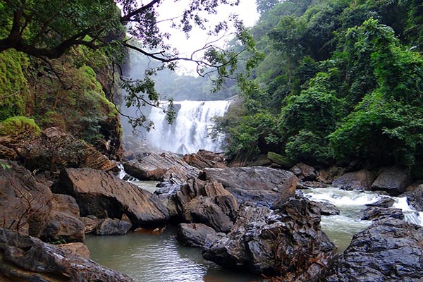 Homestay in dandeli