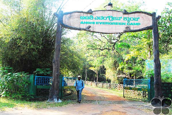 Homestay in dandeli
