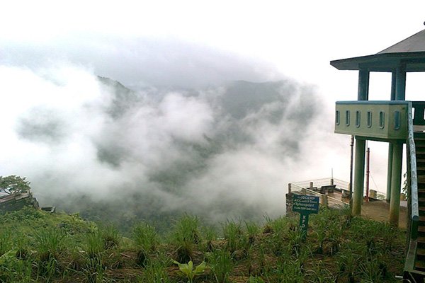 Dandeli packages